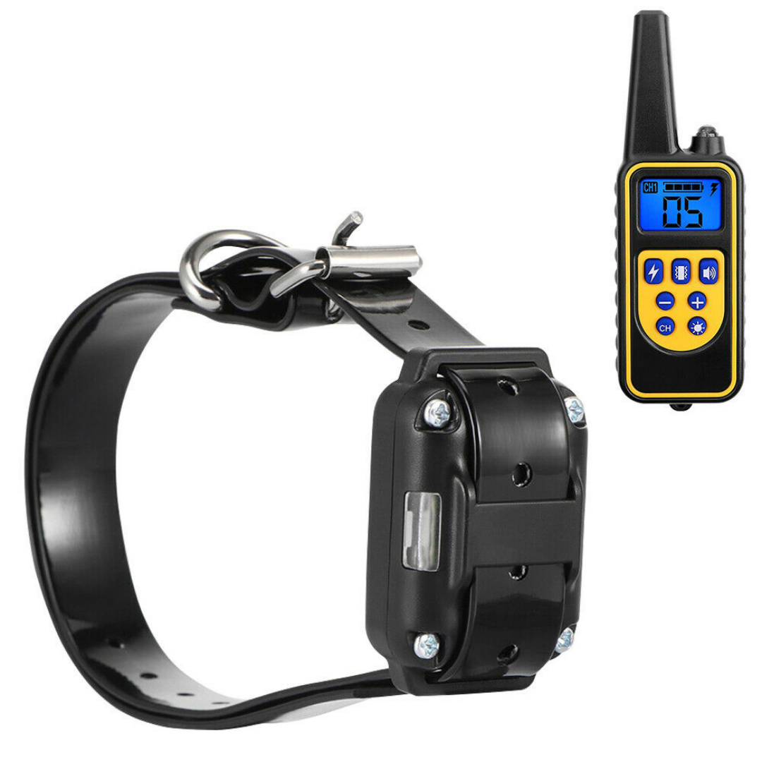 Best dog training on sale collar with gps