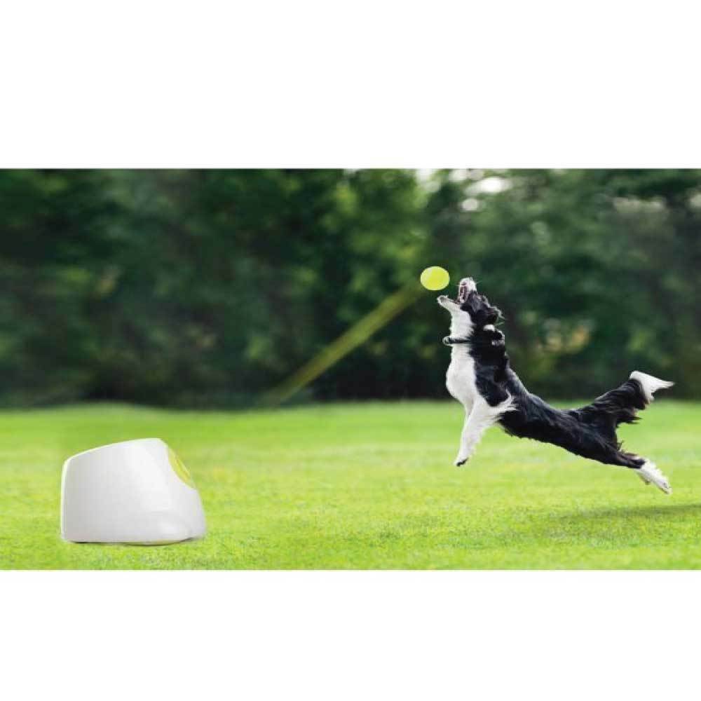 Auto dog thrower best sale