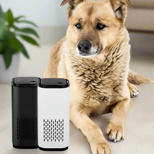 Pet Air Purifier