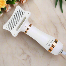 Load image into Gallery viewer, 2-in-1 Pet Hair Dryer Brush
