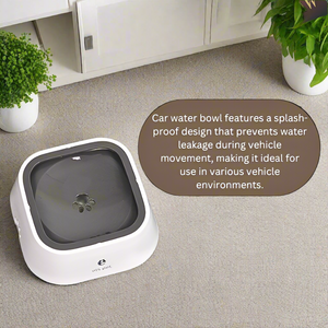 Pet Water Bowl