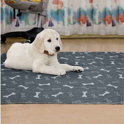 Reusable Dog/Puppy Training Pee Pads - Pet Supplies Australia