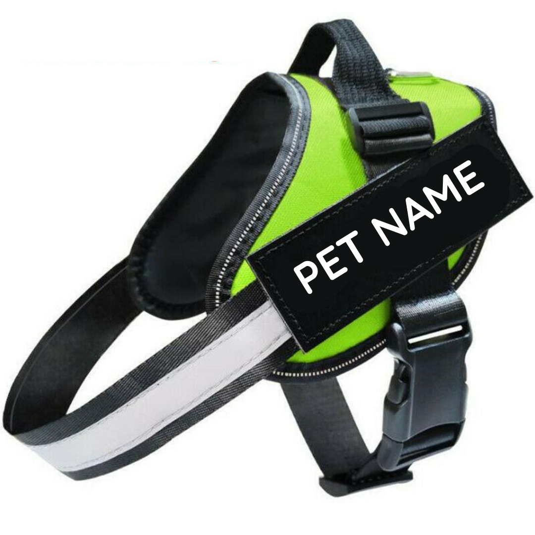 Safety No Pull Dog Harness – Pet Supplies Australia